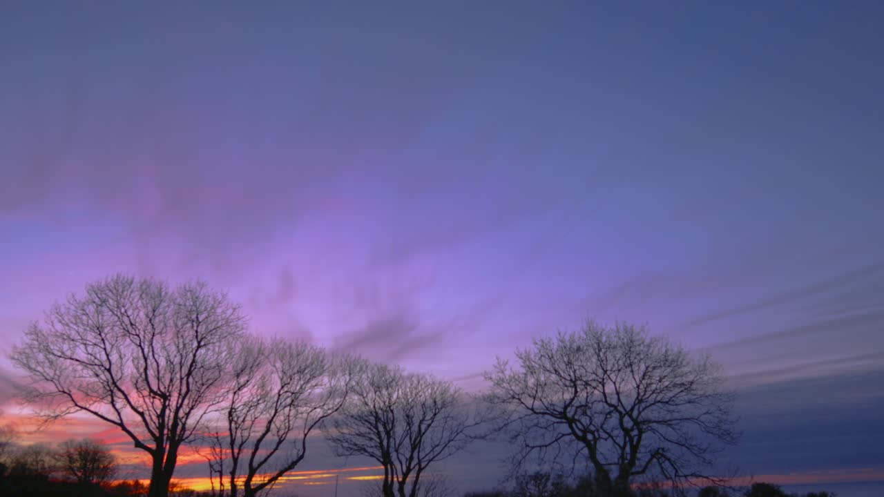 Beautiful Sunset Timelapse with Purple Clouds Above Bare Winter Trees with Setting Golden Sun on Horizon. Natural Day to Night Time Lapse.