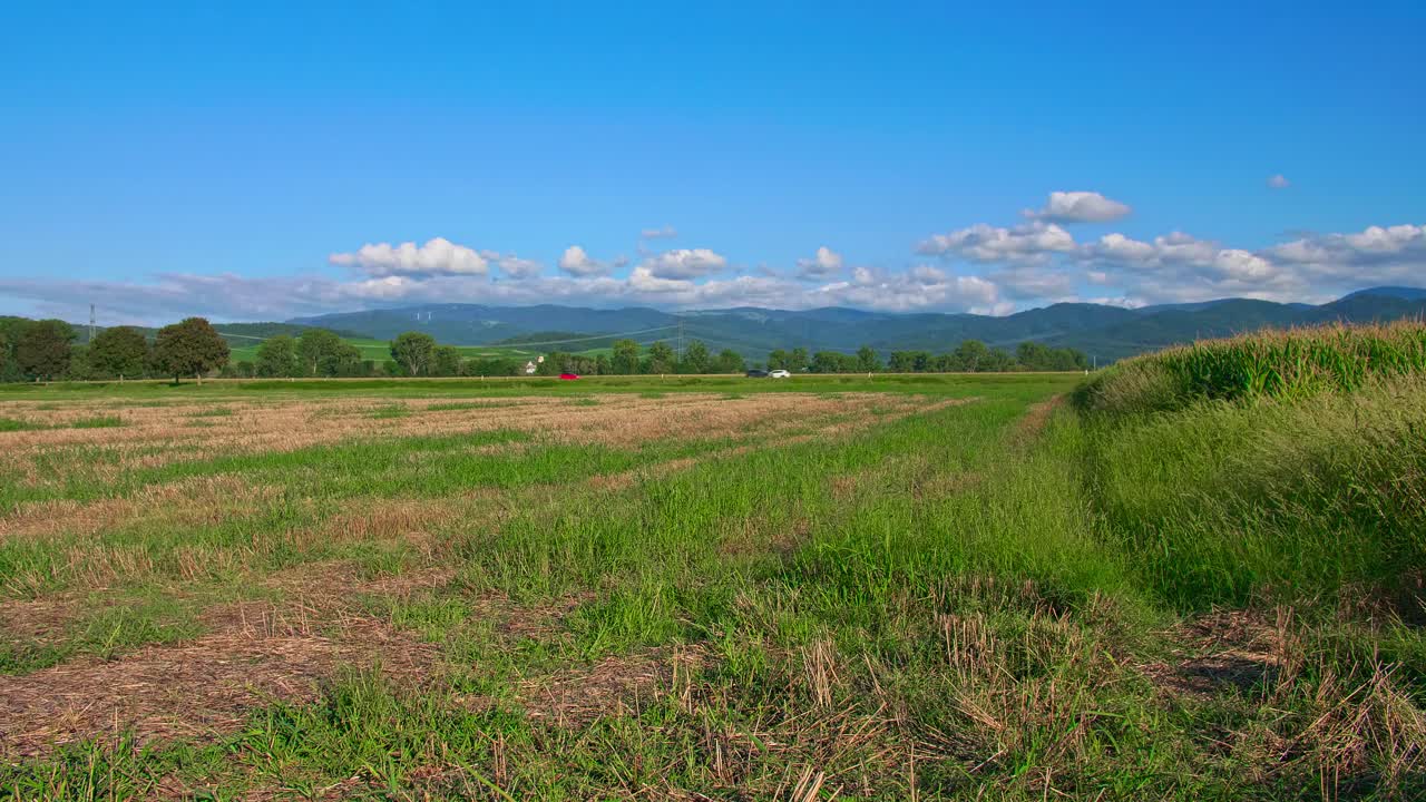 ドイツ南部、牧草地と丘陵がある穏やかな田園風景
