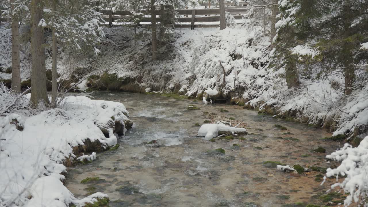 A snow-covered alpine forest surrounds a shallow mountain stream with crystal-clear waters and a rocky bottom. Parallax video.