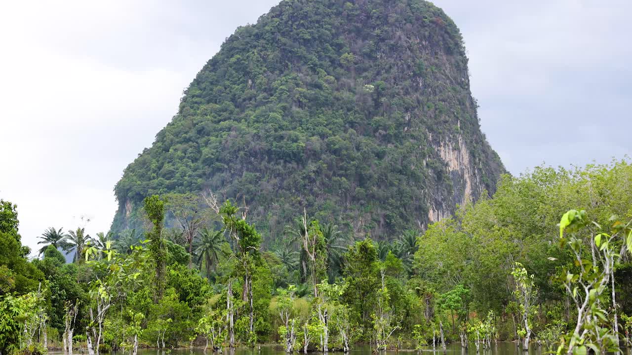 kayaking a través de un canal de agua clara cerca de la montaña exuberante en krabi
