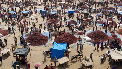 Huge-Paprika-Market-In-Alaba-Kulito-Town-Of-Ethiopia---aerial-shot