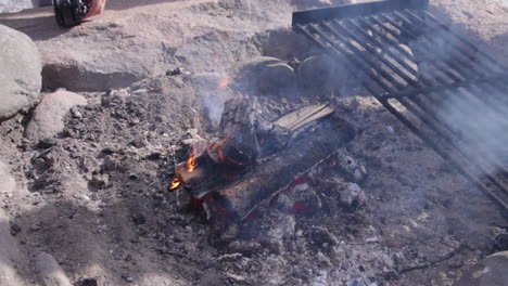 a campfire burns down in an outdoor setting with smoke rising and charred wood visible