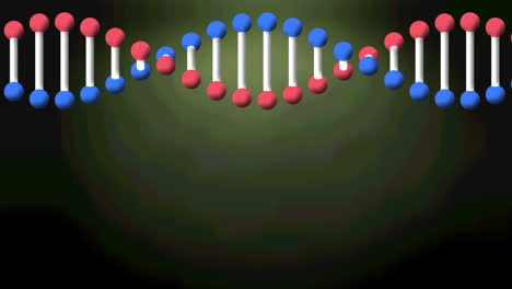 animación de la cadena de adn girando sobre un fondo verde