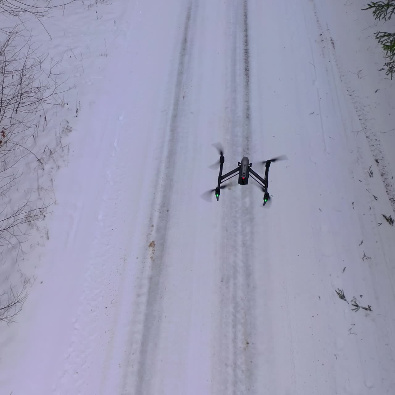 Drone flying above forest covered with snow