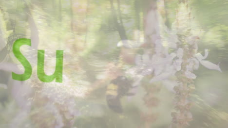 animación de texto de conservación del medio ambiente sobre plantas en el bosque