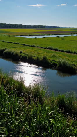canal through green farmlands under a sunny sky