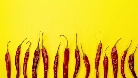 Rote-Chili-De-árbol-Chilis-Stoppen-Die-Bewegungsbewegung-In-Reihe-Am-Unteren-Rand-Auf-Einem-Lustigen,-Leuchtend-Gelben-Hintergrund