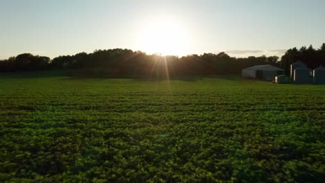 dramatic aerial shot, flying over lush green farmland towards the dusk sun as it approaches the horizon over trees