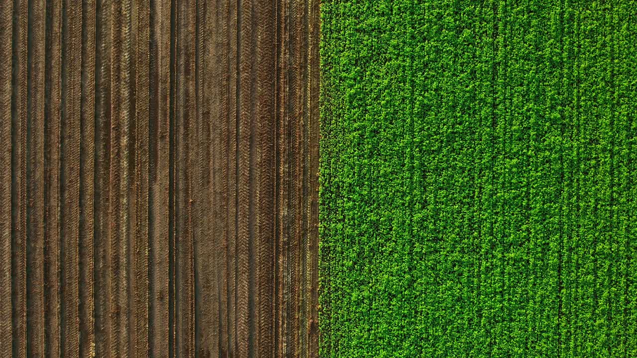 Campi agricoli olandesi, poco prima dell'arrivo dell'inverno.