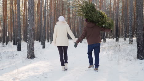 a young couple is walking along a snow-covered forest a man is carrying a christmas tree christmas e