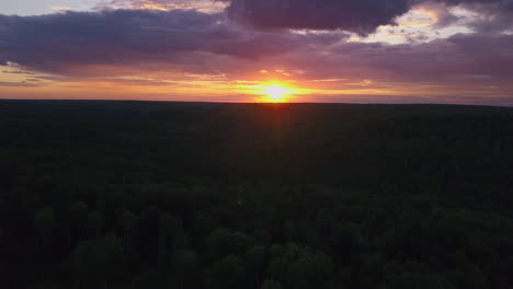 sunset over a forest