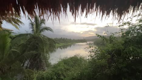 un lago tranquilo rodeado de exuberante vegetación, palmeras y colinas nubladas
