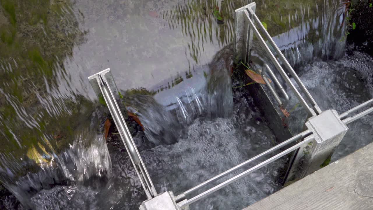 el sistema de distribución de agua de un canal de riego utilizado para suministrar agua a varias tierras irrigadas desde una fuente de riego.