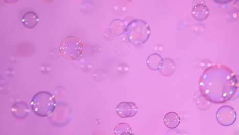 blue and clear soap bubbles on light pink background a lot of blue and clear soap bubbles isolated on light pink background