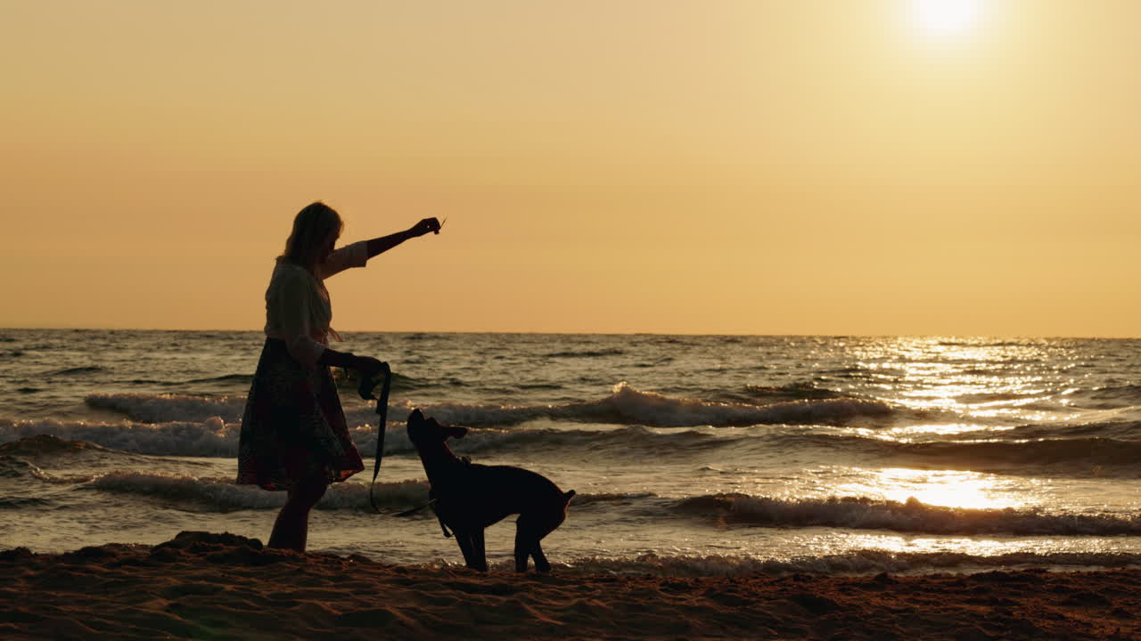 Silhouette of woman and dog on a beach at sunset
