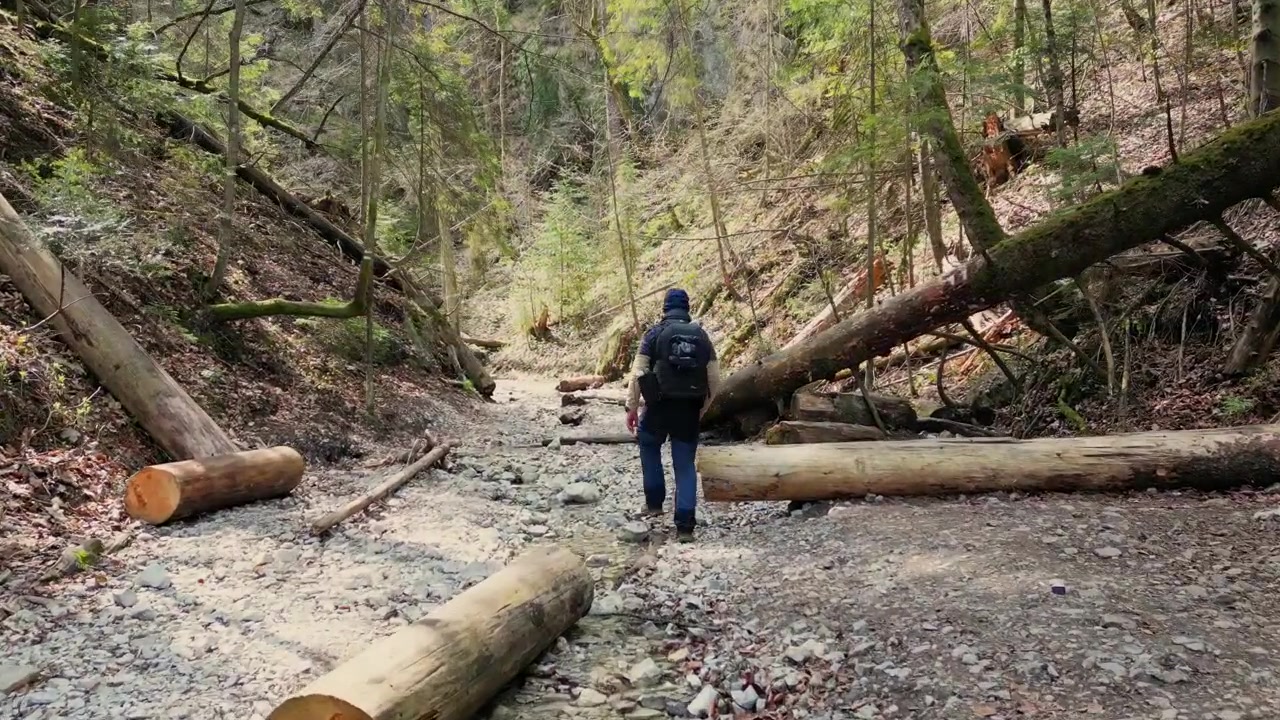 Eventyrlysten vandrer går langs Sucha Bela-kløftstien i Slovakisk Paradis nasjonalpark, nyter naturen og friheten.