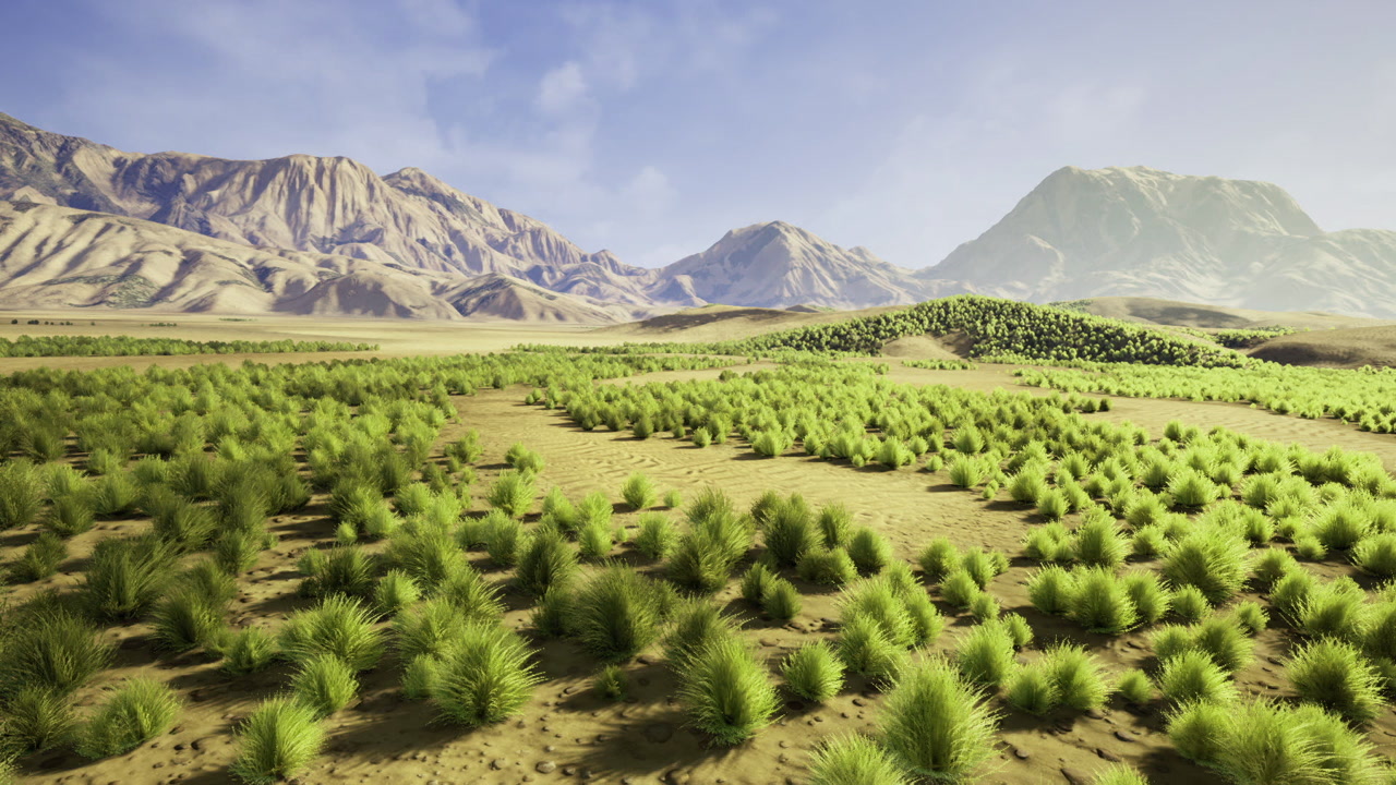Study exploring soil restoration and climate change mitigation benefits