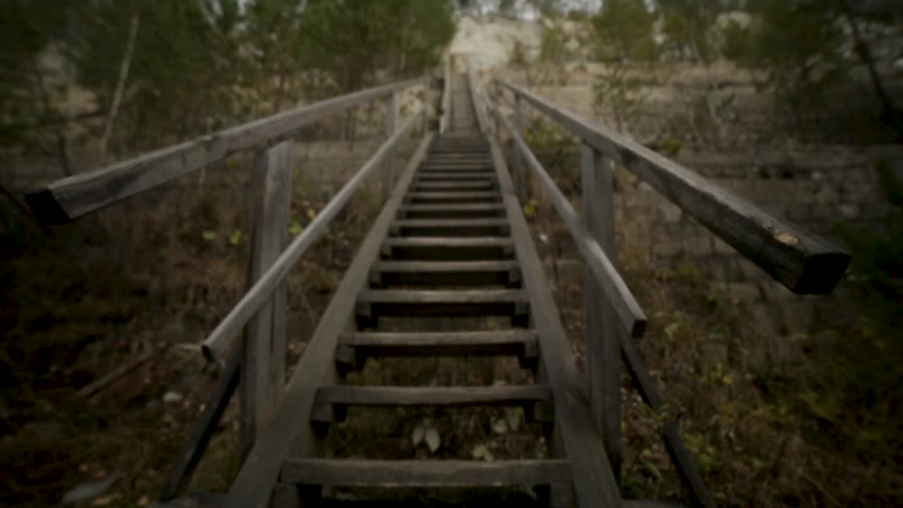 escaleras de madera que conducen a través de un bosque