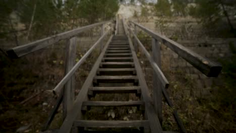 escaleras de madera que conducen a través de un bosque