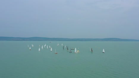 a lot of sailing ships at the lake balaton recorded with a dji mavic 2 pro uhd 4k 30fps