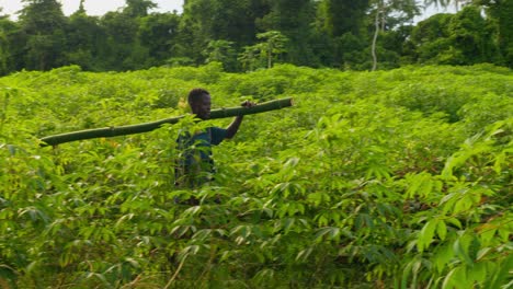 black male farmer from africa carrying a big trunk of bamboo tree inside a forest