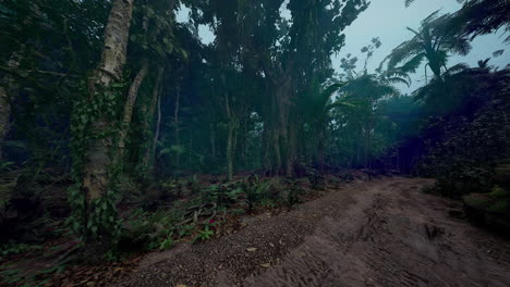 mysterious path through a dense rainforest at dawn