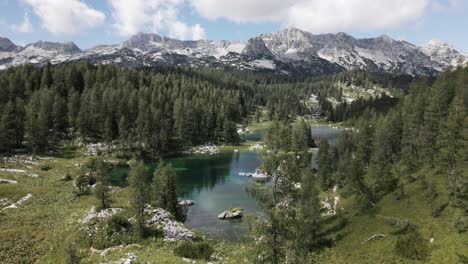 beautiful clear and blue lake in the mountains between a forrest in summer