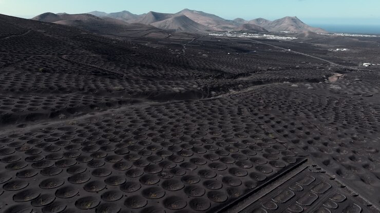 Aerial View of Volcanic Vineyard Landscape
