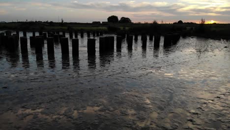 posts in mud at fresh water tidal area in the netherlands