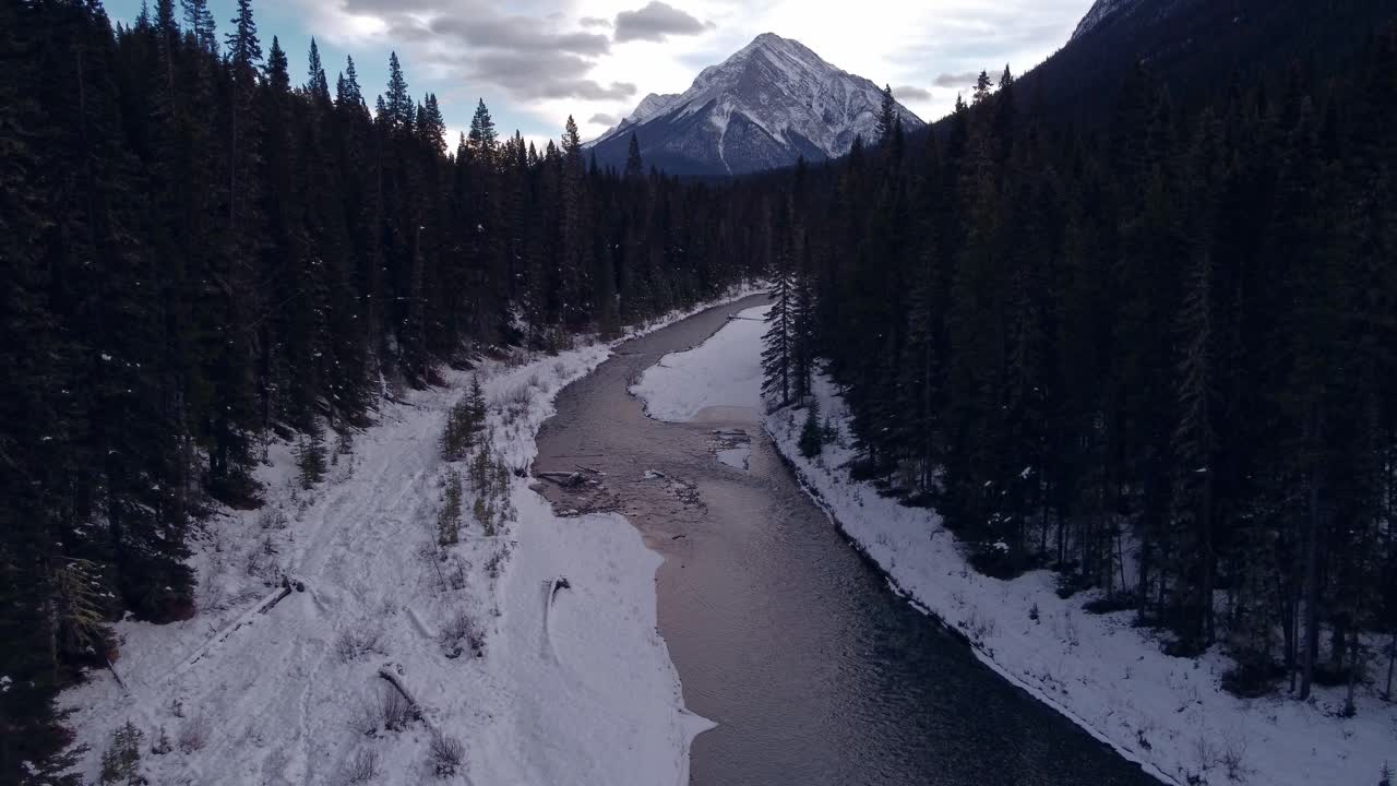 arroyo y montaña en el bosque invierno
