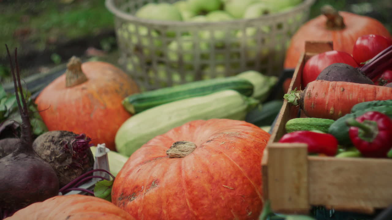 Close Up of Autumn Harvest of Organic Vegetables and Apples