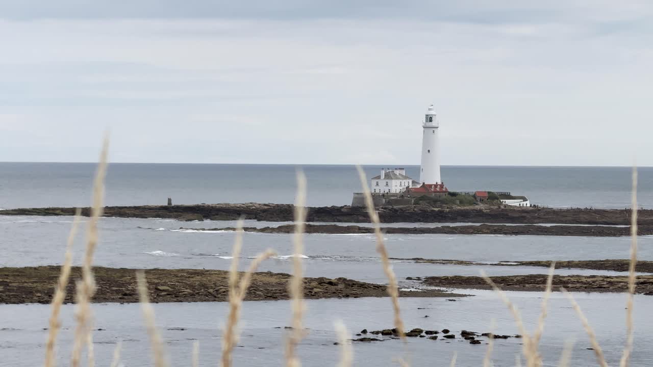 White lighthouse on rocky island viewed through tall grass under overcast sky and calm sea