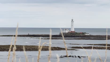 white lighthouse on rocky island viewed through tall grass under overcast sky and calm sea