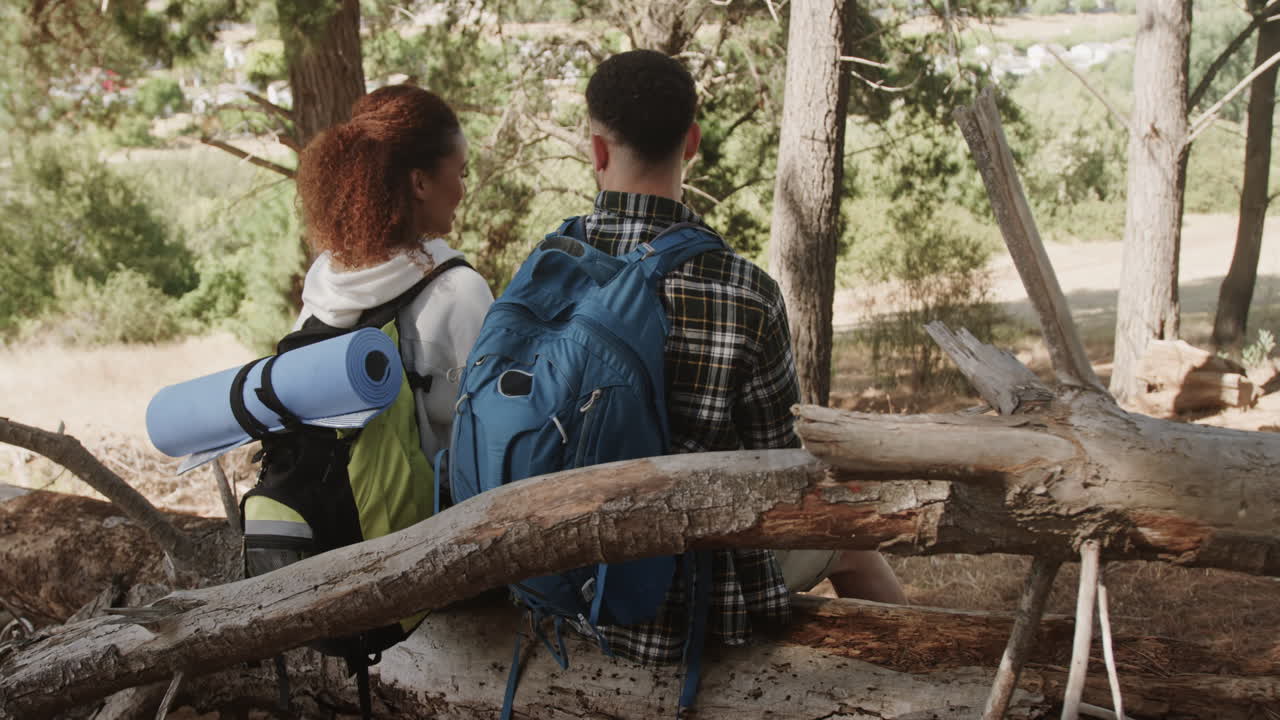Happy african american couple wearing backpacks and sitting on tree trunk in forest, slow motion
