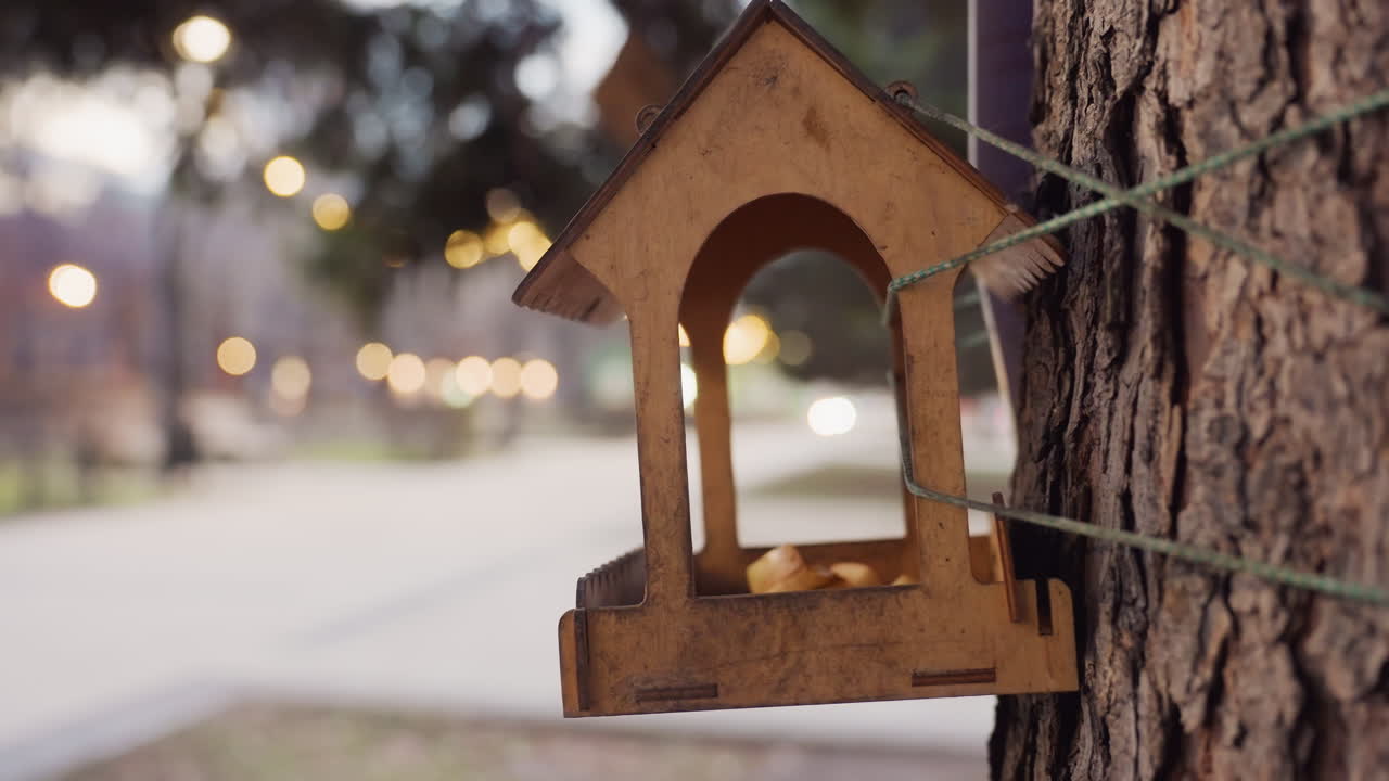 Side view of wooden nest box tied to tree using green rope in quiet park during evening, soft bokeh background of moving lights and blurred figures conveying peaceful outdoor atmosphere