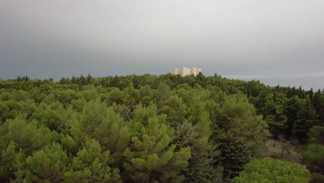 Drohne,-Die-Vorwärts-Und-Aufwärts-über-Bäume-Fliegt,-Enthüllt-Castel-Del-Monte-Am-Frühen-Morgen-Im-Süden-Italiens-In-4k