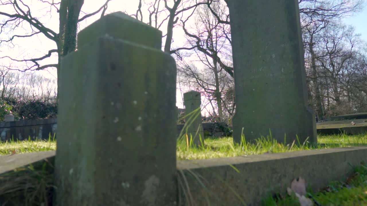 сцена на кладбище в солнечном свете