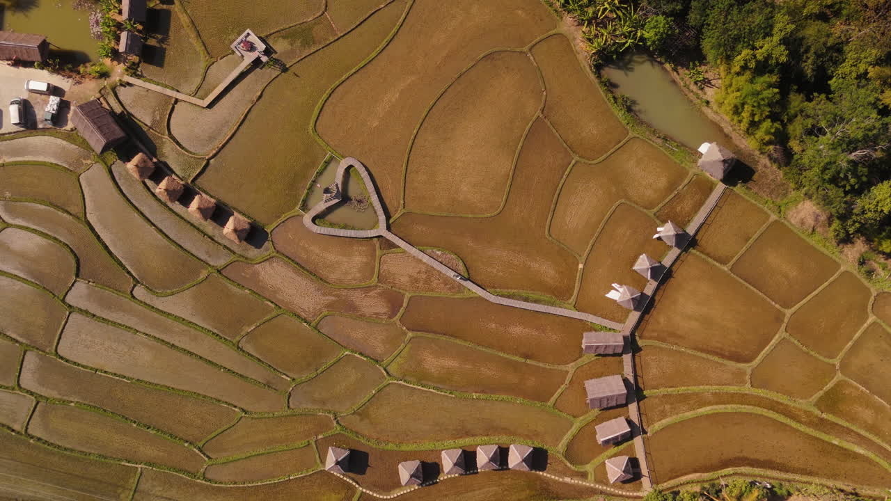 Aerial View of Terraced Rice Paddies and Cabins