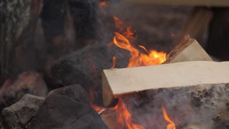 Fuego-En-Cámara-Lenta-Con-Madera-En-Un-Bosque