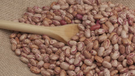 dry red beans and wooden spoon, organic agriculture