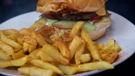 Burger-serving-plate