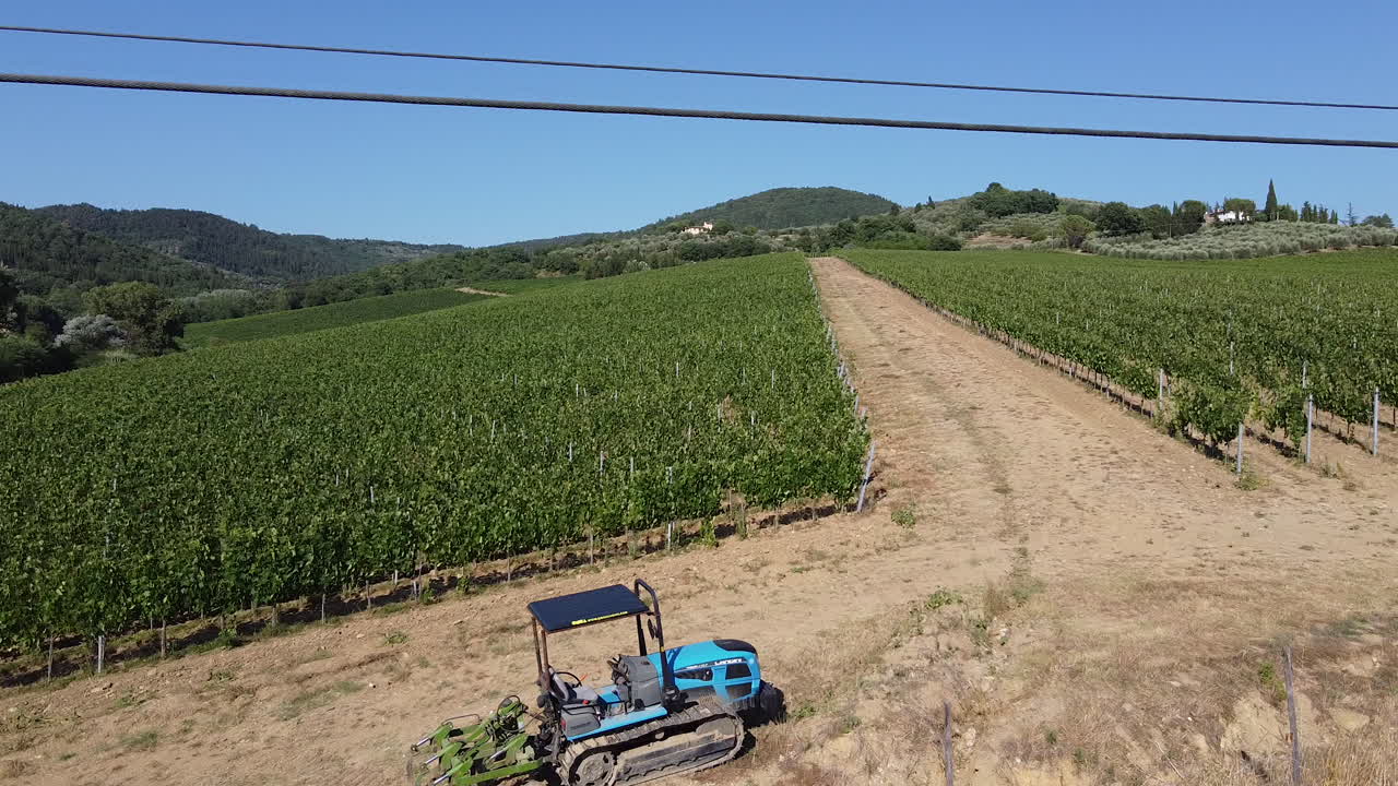 alejándose del tractor en las estrechas filas de viñedos verdes en las colinas de toscana, italia