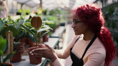 beautiful florist woman take care over plants on the floral store, arrange them on the shelves