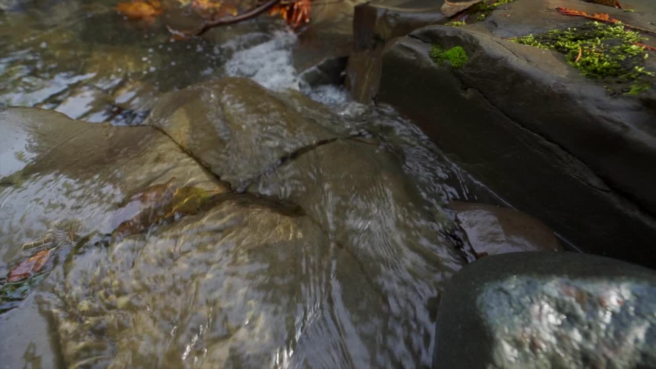 agua que fluye sobre las rocas en la orilla del río durante la caminata de otoño