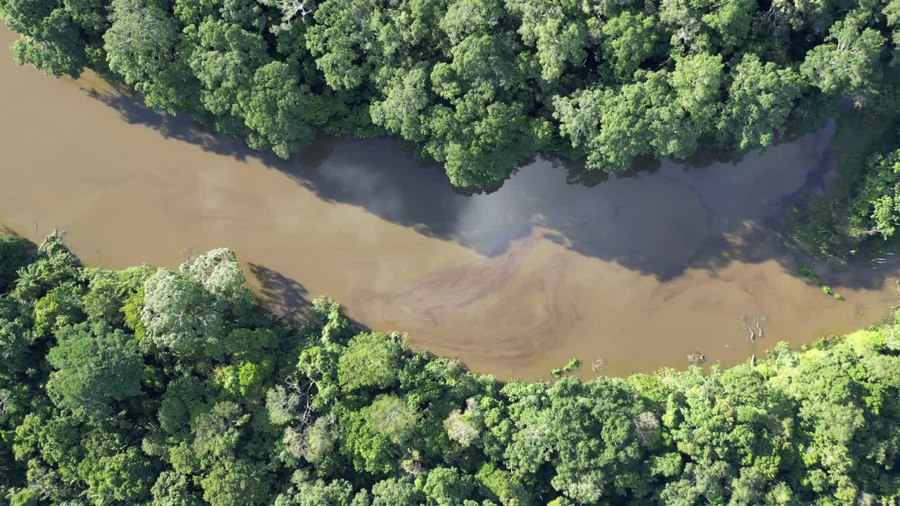 Aerial view of the Amazon River in natural light, surrounded by dense jungle, free from human impact