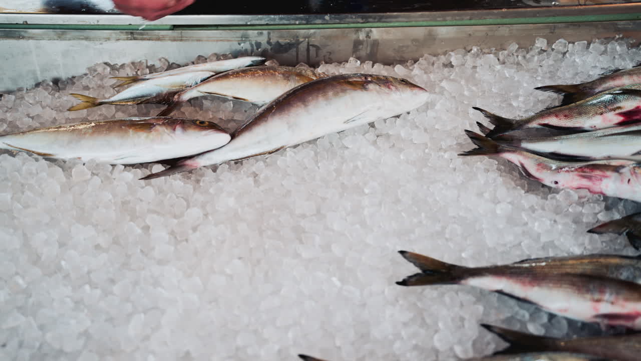 Fishmonger's hands carefully arranging whole fish on a thick layer of crushed ice at a market counter, creating an orderly and attractive seafood display