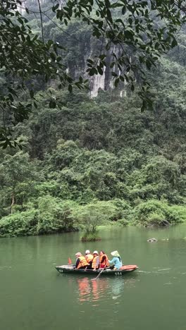 boat trip through lush vietnamese scenery