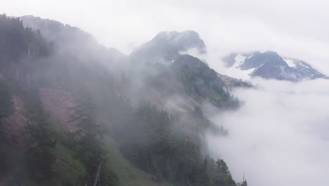 dense cloud mist or tree fog from forest on edge of ridgeline with exposed rock and trees