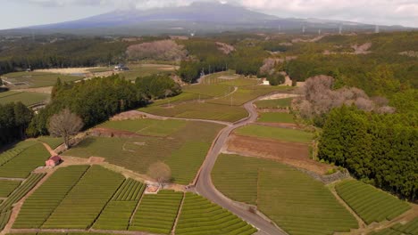 Impresionante-Paisaje-De-Drones-Aéreos-Sobre-La-Granja-De-Té-Verde-Obuchi-Sasaba-En-Japón