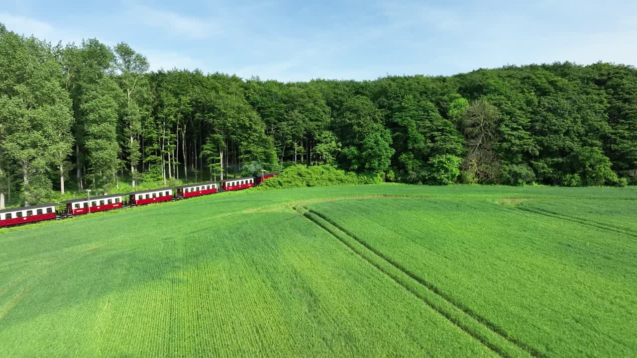 증기 열차 가 숲 에 들어간다